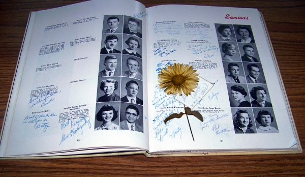 Creation of Pressed Memories: Step 4